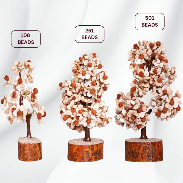 Gomati Chakra Rudraksha Tree - Samriidhhii Store