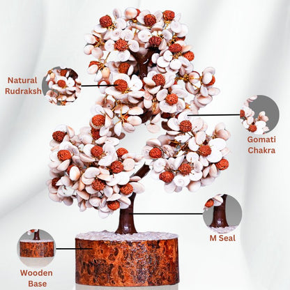 Gomati Chakra Rudraksha Tree - Samriidhhii Store