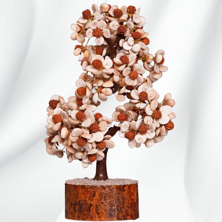 Gomati Chakra Rudraksha Tree - Samriidhhii Store