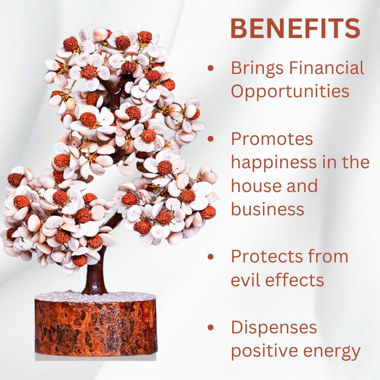 Gomati Chakra Rudraksha Tree - Samriidhhii Store