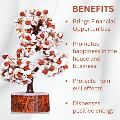 Gomati Chakra Rudraksha Tree - Samriidhhii Store