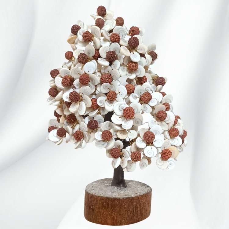 Gomati Chakra Rudraksha Tree - Samriidhhii Store