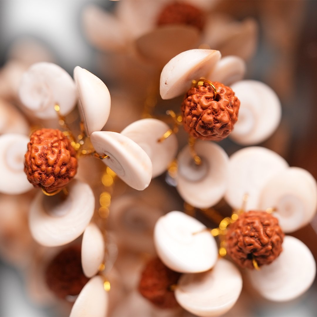 Gomati Chakra Rudraksha Tree - Samriidhhii Store