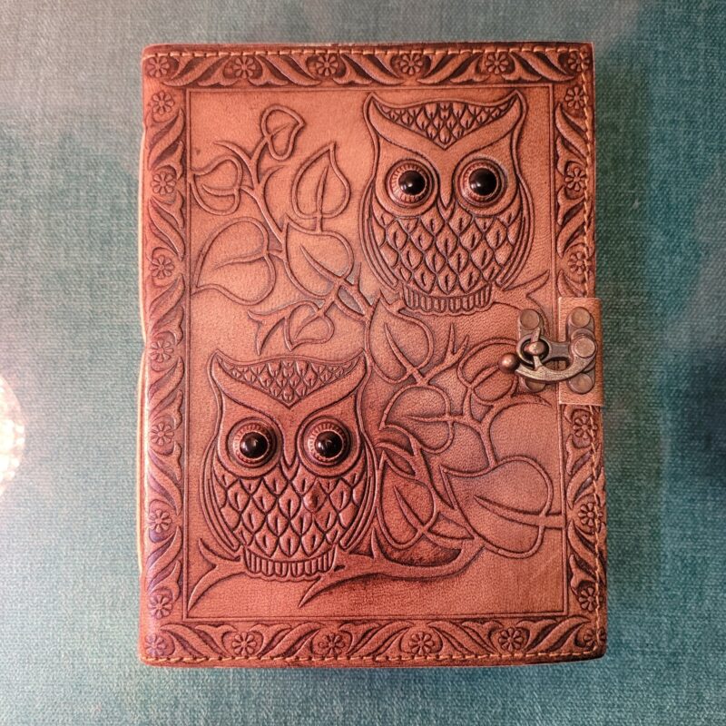 Owl Emboss With Black Stone Eye Journal